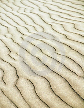 Sand ripples