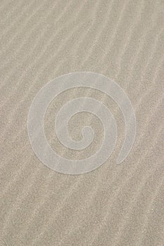 Sand Ripples