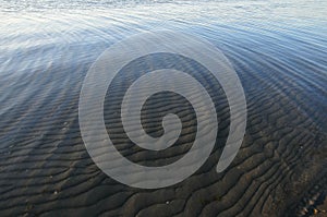 Sand ripples