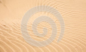 Sand ripples