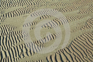 Sand ripples