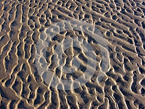 Sand ripples background