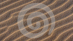 sand ripples background