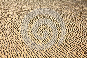 Sand ripples background