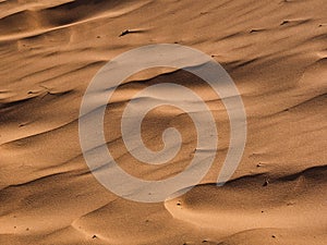 Sand Ripples in Coral Pink Sand Dunes, Utah