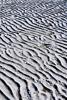 Sand ripples and seaweed scraps.  White Rock beach at low tide
