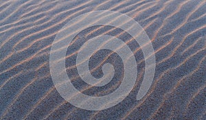 Sand Ripples Sunset Texture