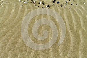 Sand ripples texture