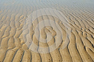 Sand ripples in water