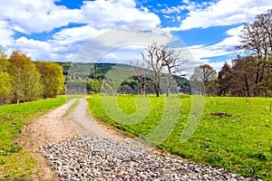 Sand road along the river spey near Rothes