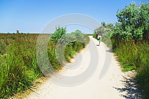 Sand road through bushes