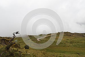 A sand road crossing through andean colombian paramo ecosystem