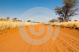 Sand Road in Namibia, Africa