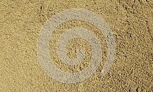 Sand.Sand texture.Sand background.Sandy soil.Sand texture. Sandy, marine.