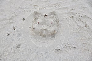 Sand sculpture of a cat on the beach