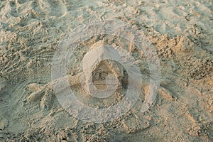 sand sculpture on the sea beach in summer sunset