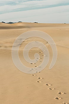 Sand and Sea Beach Scene With Footprints
