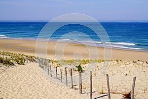 Sand sea path way access Atlantic beach in sand dunes in lacanau ocean france