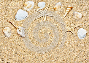 Sand and sea shells frame photo