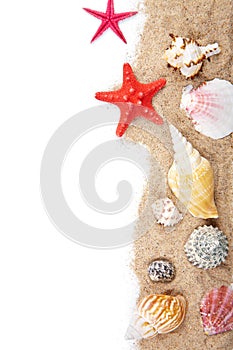 Sand and sea shells isolated