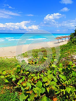 Sand, sea, sky e cloudy... tropical beach with small waves. Enjoy your time!