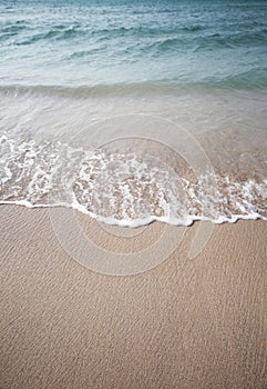 Sand and sea wave. Beach copy space nature background