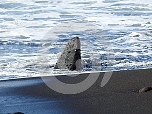 Black sand beaches rocks and waves in Tenerife