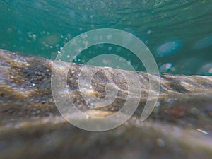 Sand and seabed underwater. Clear water in Lake Superior Michigan