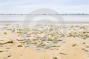 Sand seacoast of English Channel in Brittany