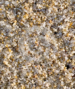 Sand On the Seashore