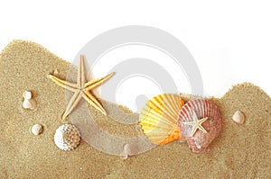 Sand and seastar border photo