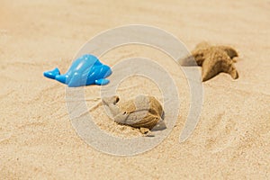 Sand shape made by whale mold on summer beach