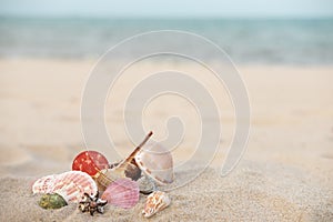 sand-shell