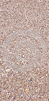 Sand and shell background