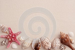 Sand with shells