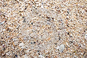 Sand and shells Caused by the waves of the sea washing shell fragments and sand toward the coast