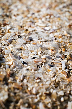 Sand and small particles of shells on the seashore close-up