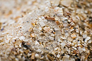 Sand and small particles of shells on the seashore close-up. Background