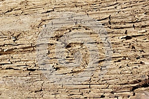 Sand soil dirt texture background crack faults
