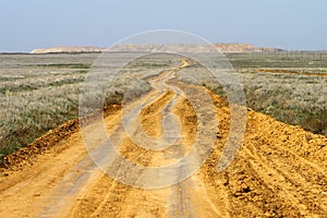 Sand spring steppe road