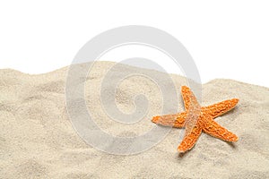 Sand Starfish Copy Space