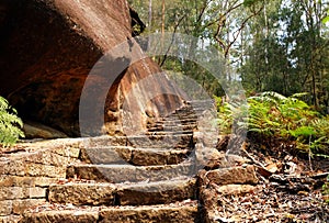 A sand stone stairway going up the hill in Berowra National Park, Australia