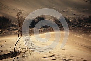 Sand storm in desert