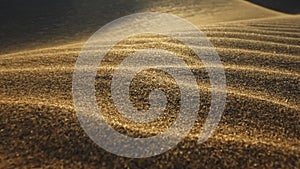 Sand storm in desert. Macro shot of sand particles blown away by the wind. Camera moves along surface of sand dune in