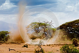 Sand storm in kenia