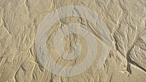 Sand structure pattern at beach on canary islands