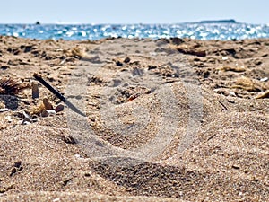 Sand structure, texture with small piles, shells, sand grains and wood sticks