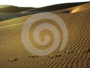 Sand structures in the Sahara