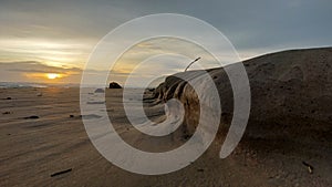 Sand and sunset with frog view