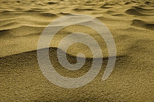 Sand surface with curves and small dunes close-up. A natural natural line and pattern that changes all the time and